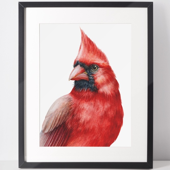 Cardinal Bird Watercolor Wall Art Print Poster Illustration Unframed - Picture 2 of 8